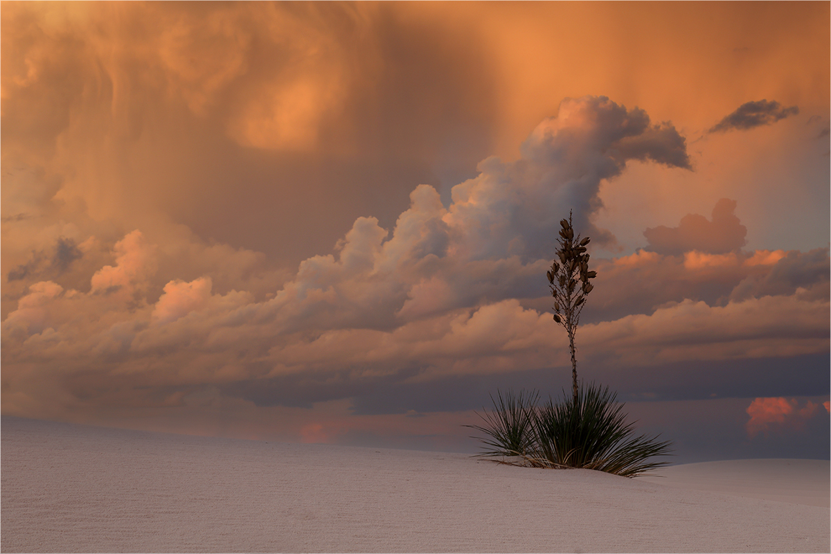 White Sands Sunset