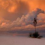 White Sands Sunset