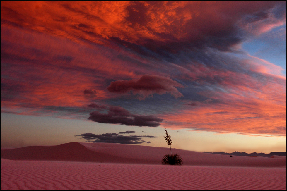 white sands turned pink