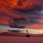 white sands turned pink