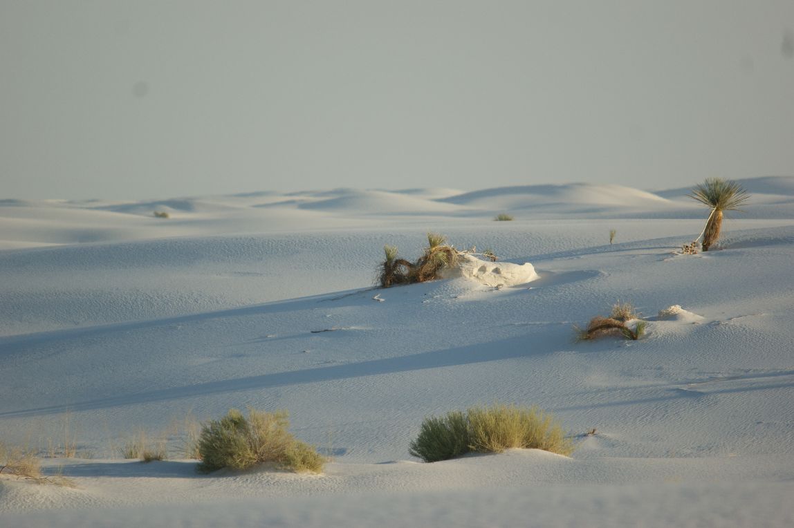 White Sands....eine andere Welt