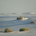 White Sands....eine andere Welt