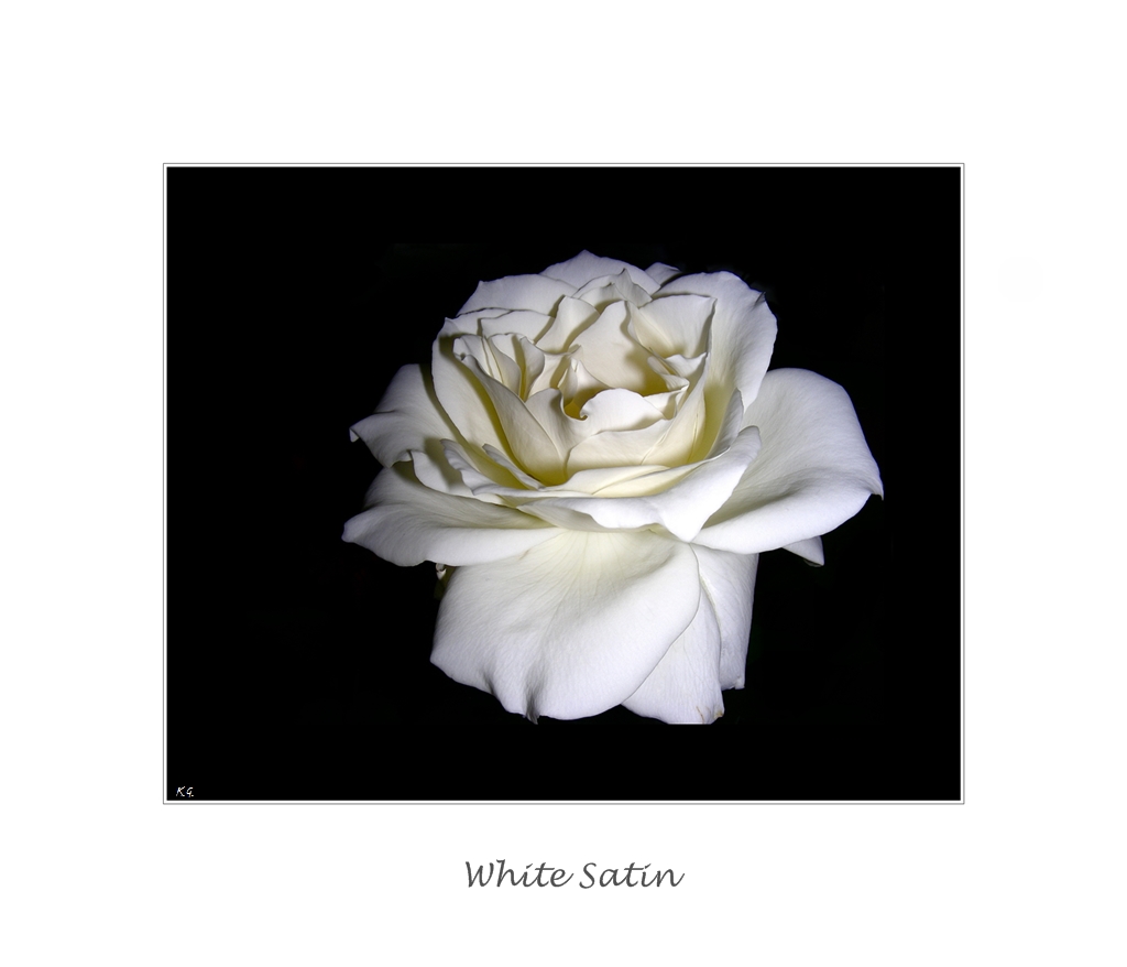 white Satin