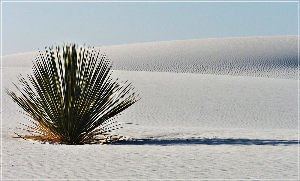 "White Silence"