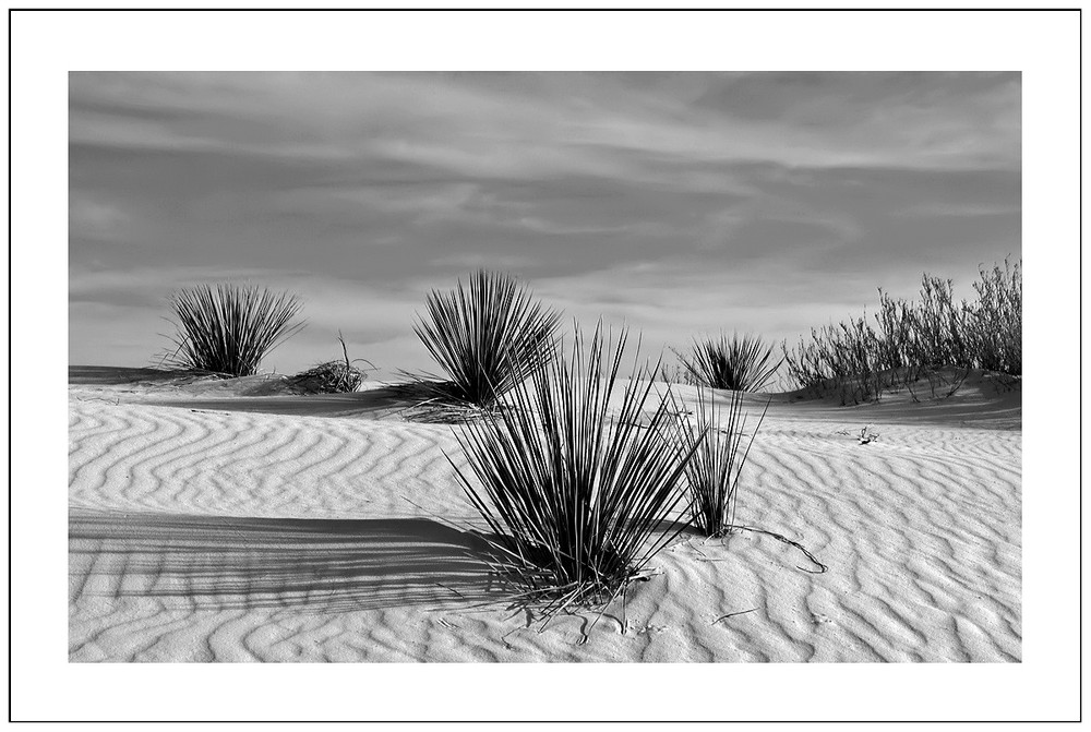 White Silence in black & white