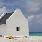 White Slave - Bonaire