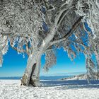 white snow - blue sky