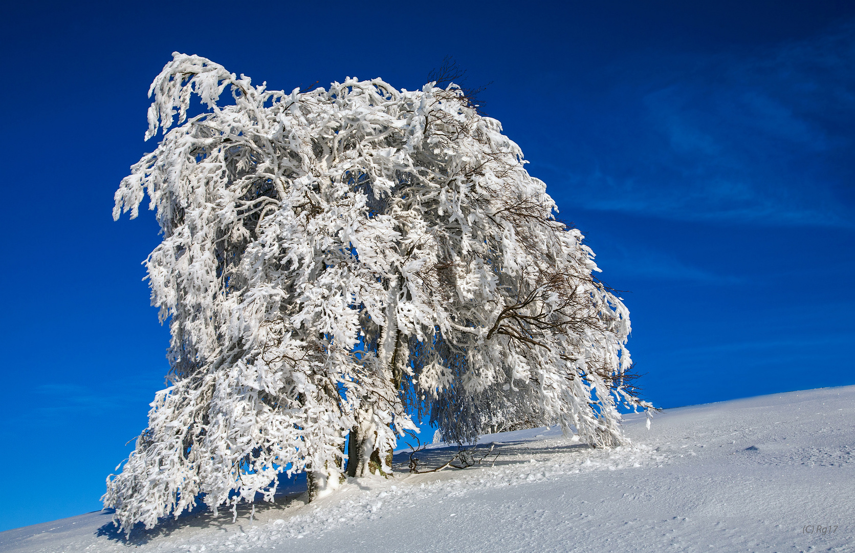 white snow -blue sky