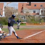 white sox erlangen vs. augsburg gators +Zaun