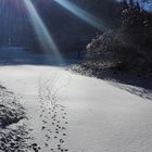 White Steps in the Sunlight