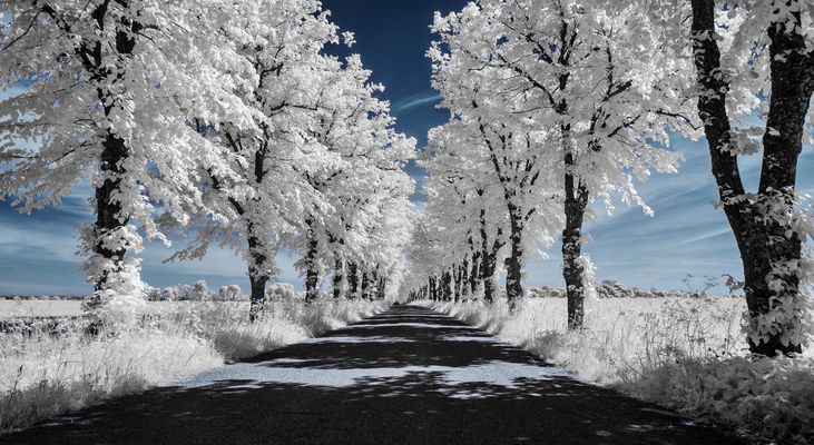 - White Street under the blue sky -