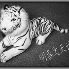 White Tiger