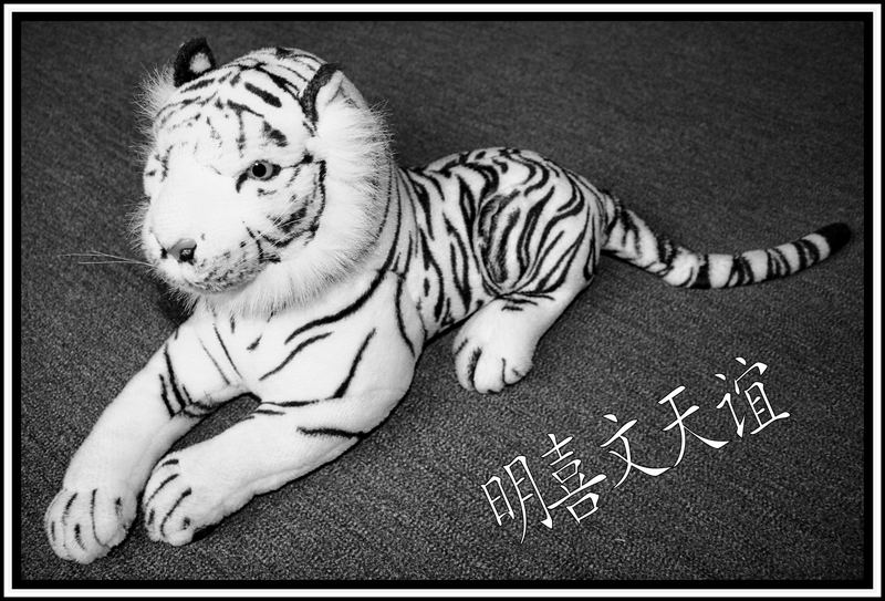 White Tiger