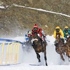 White Turf 2008 St Moritz