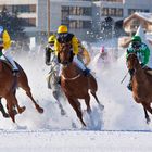 White Turf 2012 St.Moritz