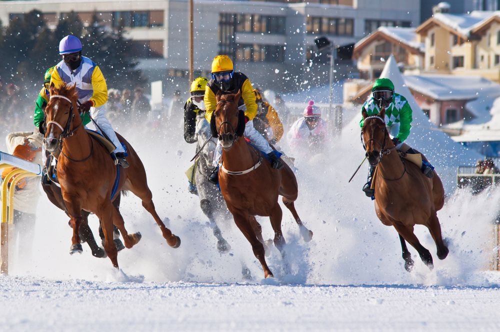 White Turf 2012 St.Moritz