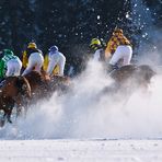 White Turf 2012_2