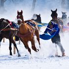 White Turf 2012_6