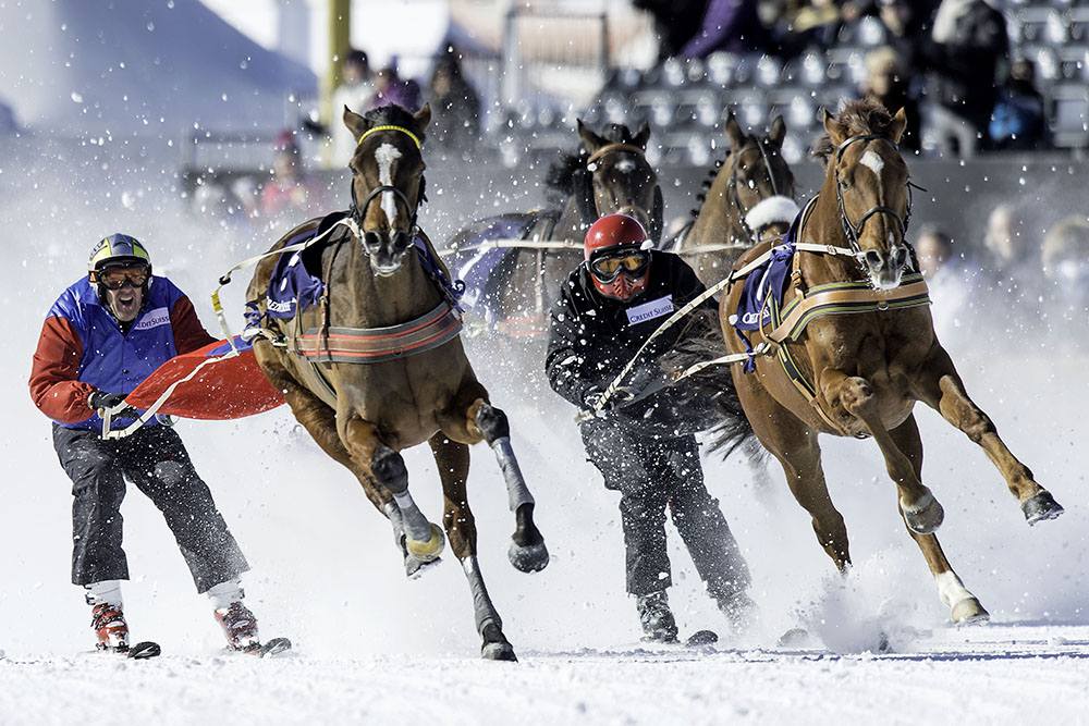 White Turf 2013 - St. Moritz