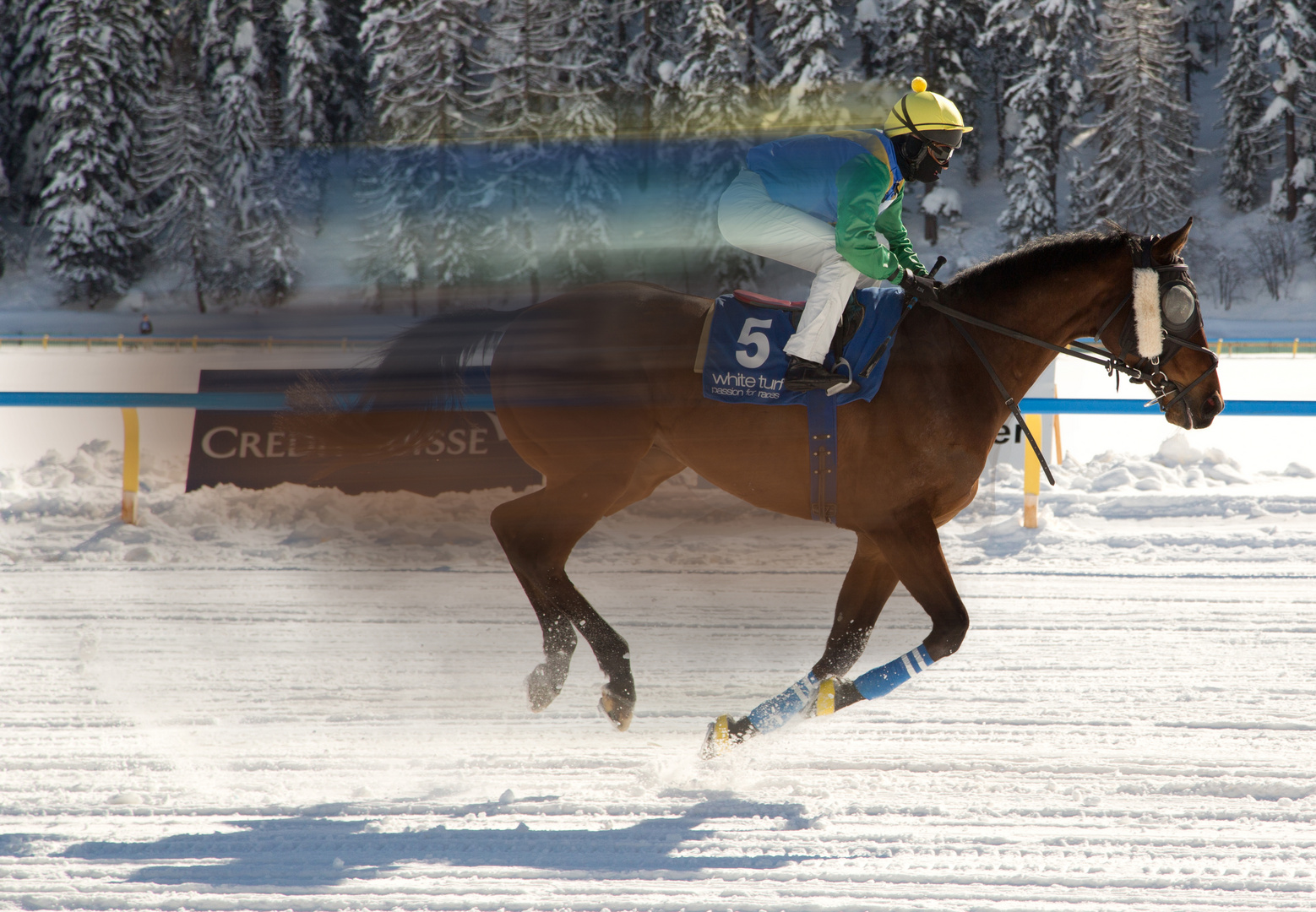 White Turf 2014