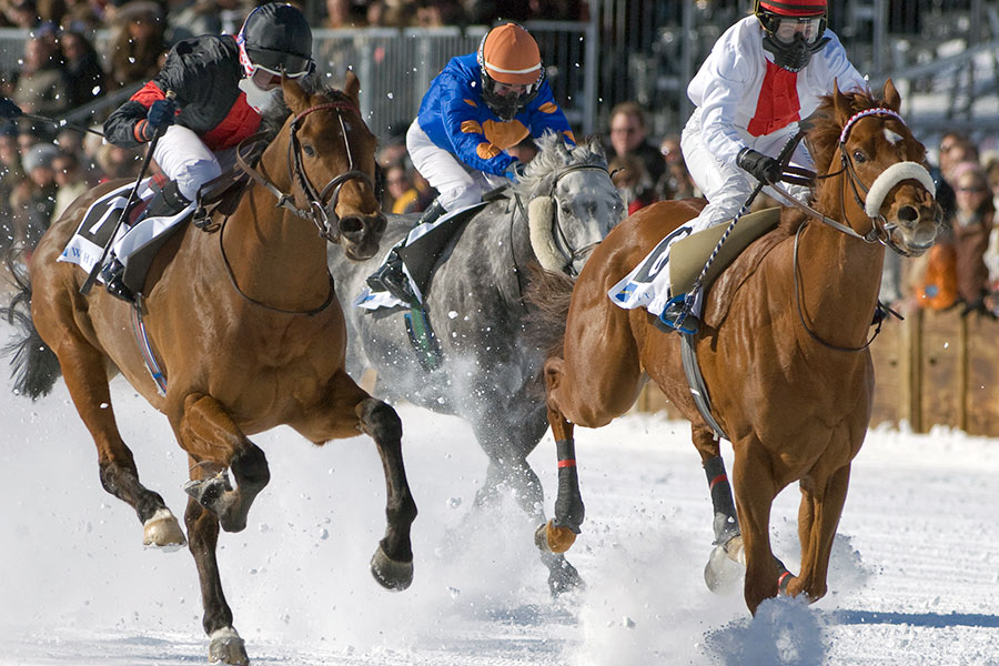 White Turf St. Moritz 15.02.2009 (2) 1.Rennen