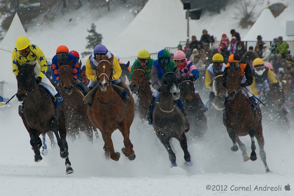 White Turf St. Moritz 2012