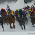 White Turf St. Moritz 2012