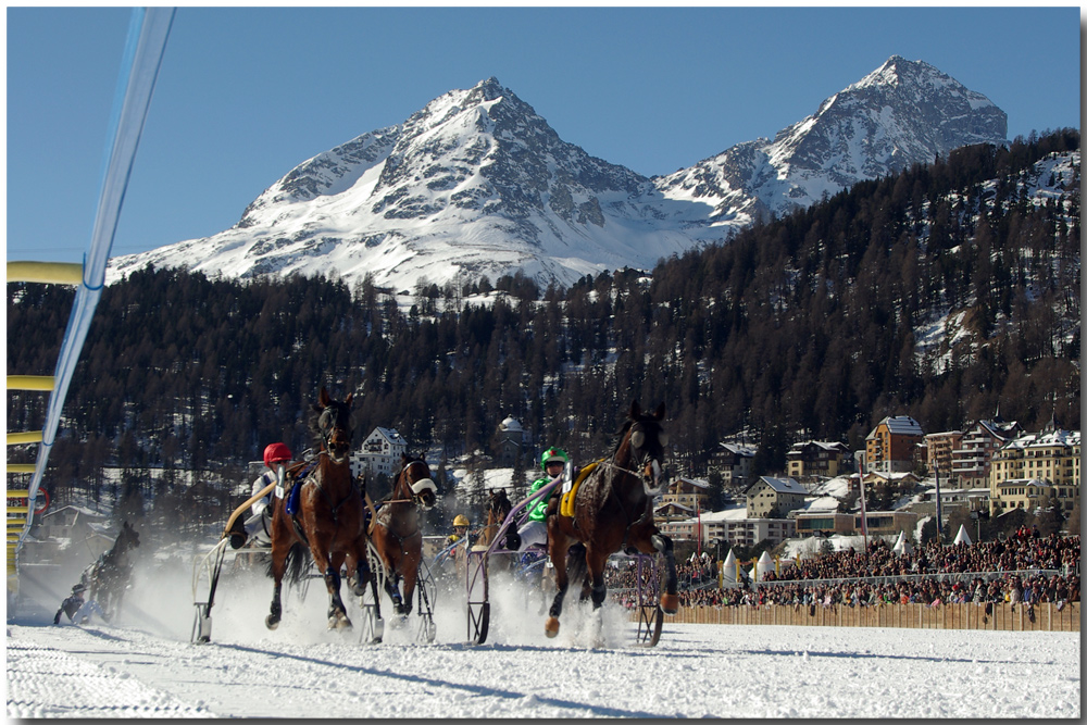 White Turf St. Moritz