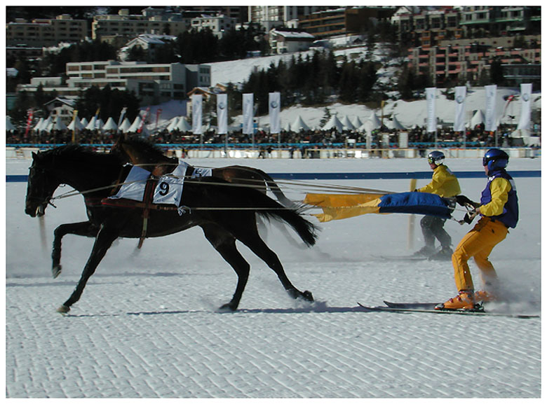 White Turf St.Moritz