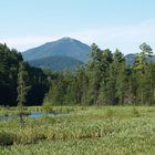 Whiteface Mountain