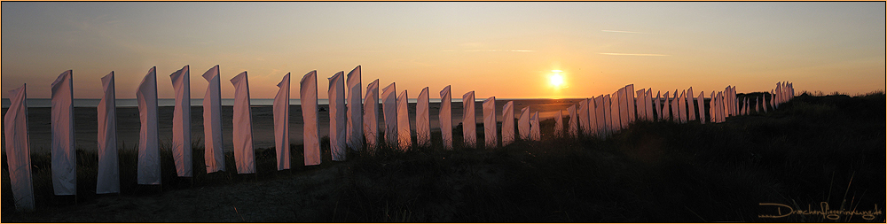 Whiteflags im Sonnenuntergang