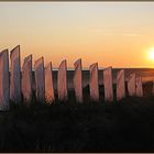 Whiteflags im Sonnenuntergang