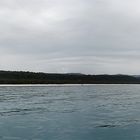 Whitehaven Beach