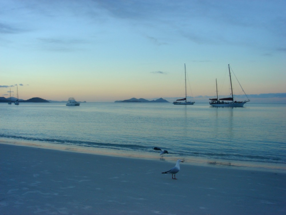 Whitehaven Beach