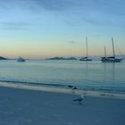 Whitehaven Beach