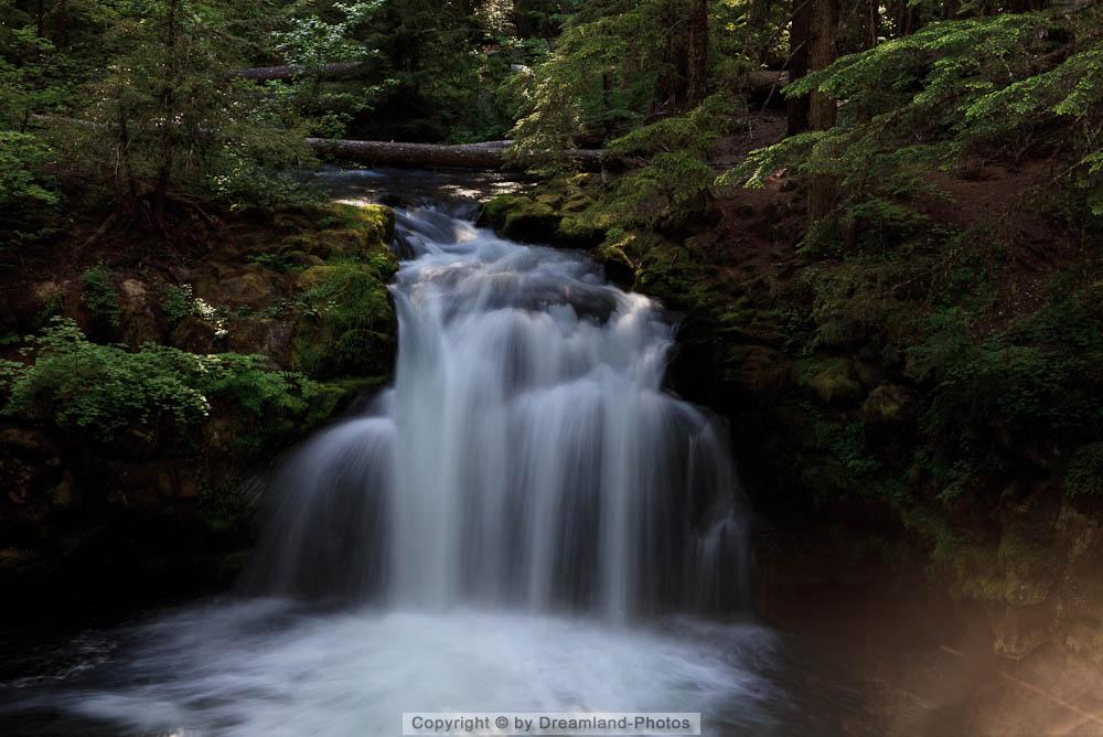 Whitehorse Falls, Oregon, USA