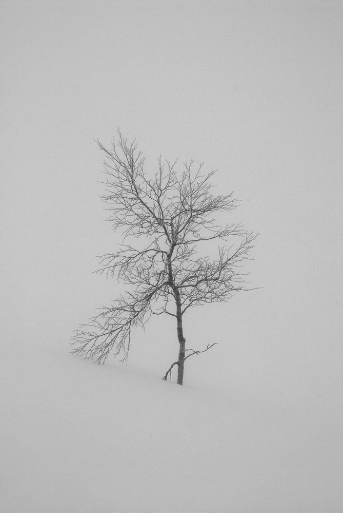 Whiteout von matthias7 