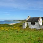 Whitepark Bay - Antrim - Northern Ireland