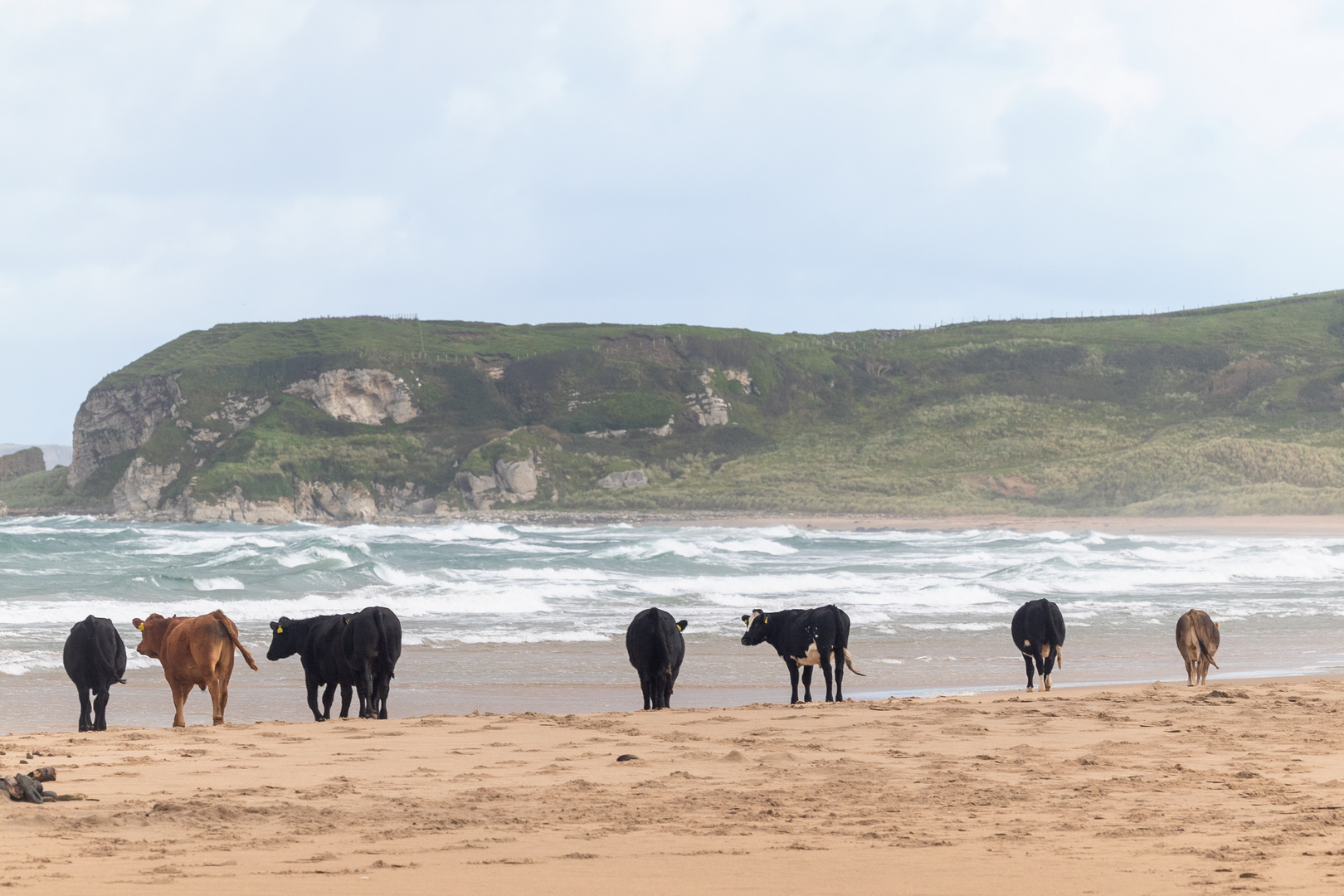 Whitepark Bay Beach