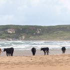 Whitepark Bay Beach