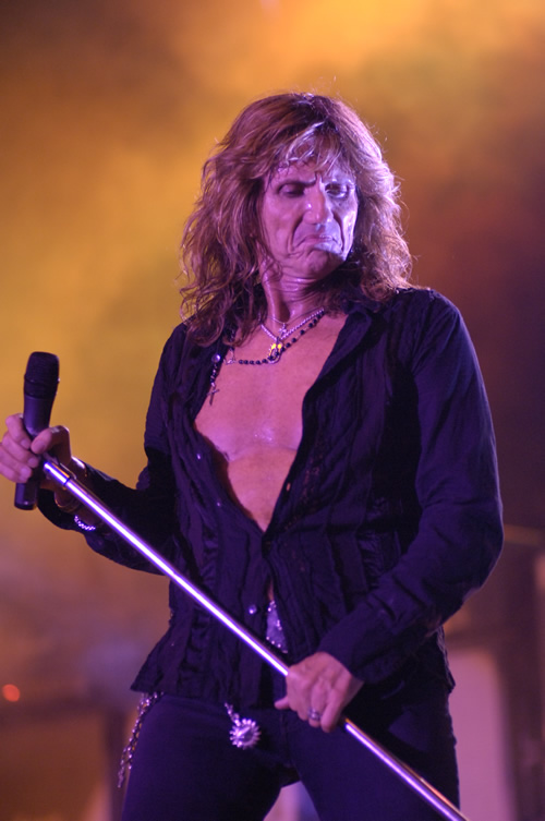 Whitesnake / David Coverdale