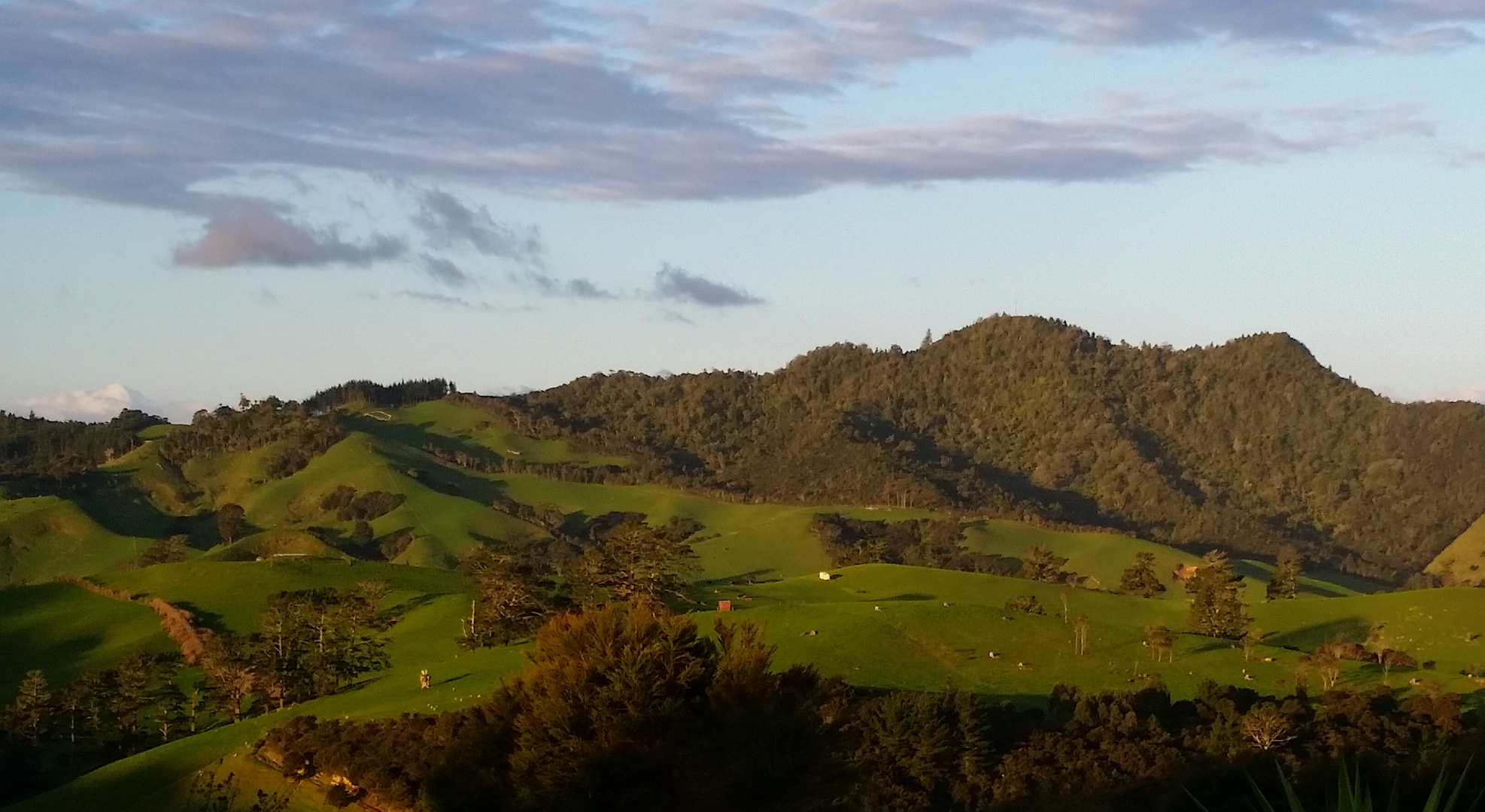 Whitianga