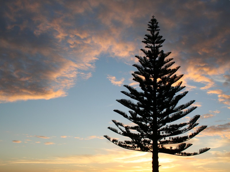 Whitianga Sunrise