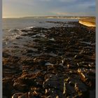 whitley bay 4 from near st mary's island early morning