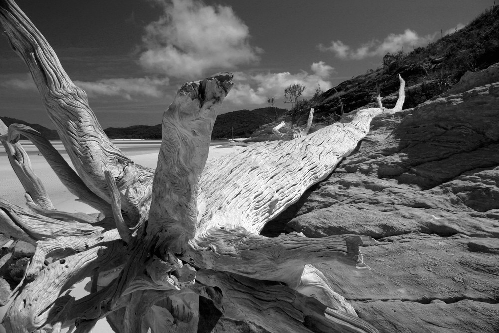 Whitsunday Island