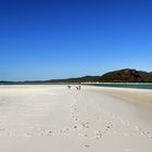 Whitsunday Island - Australien (rl)