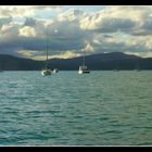 WHITSUNDAY ISLANDS (IX) - Tagesausklang