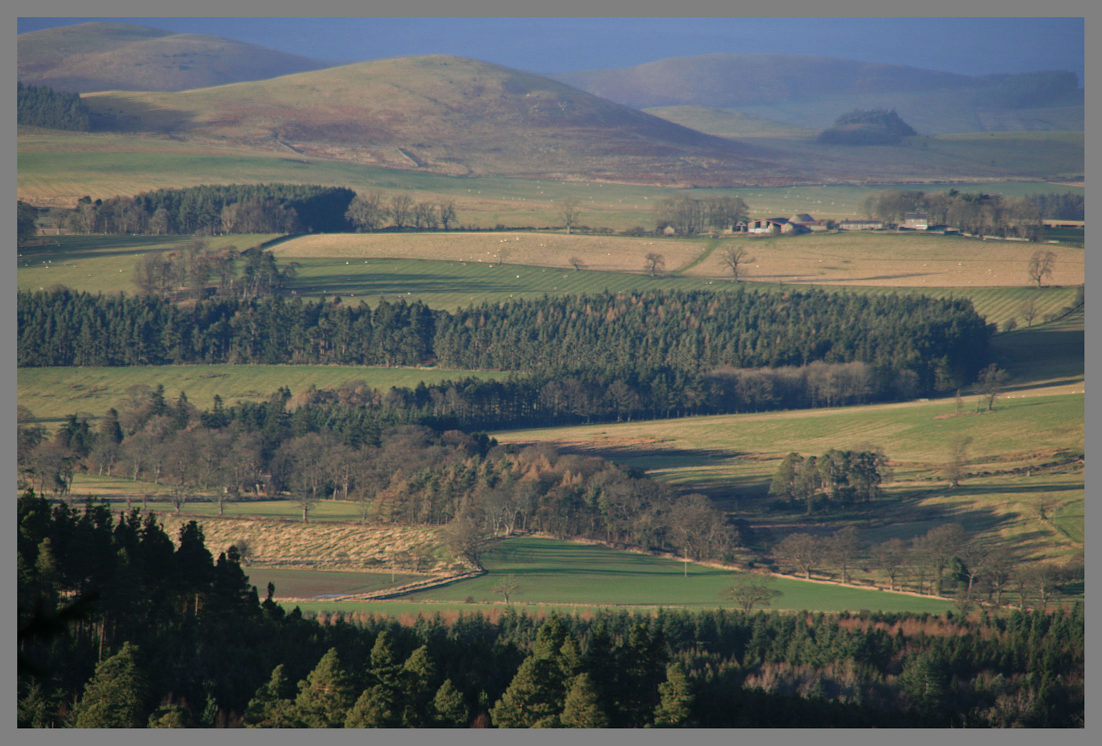 Whittingham vale from Thrunton Wood