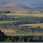 Whittingham vale from Thrunton Wood