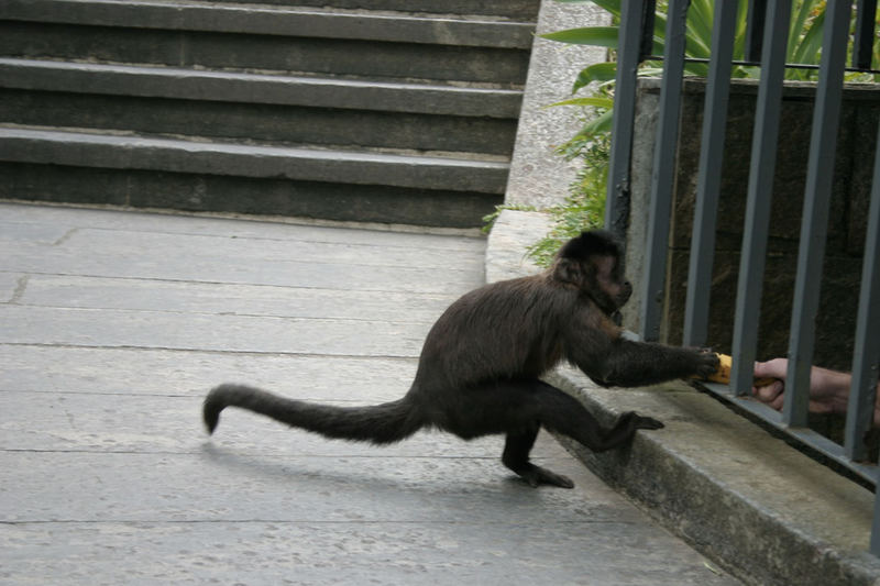 Who is feeding who?